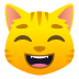 Emoji: grinning cat with smiling eyes