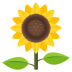 Emoji: sunflower